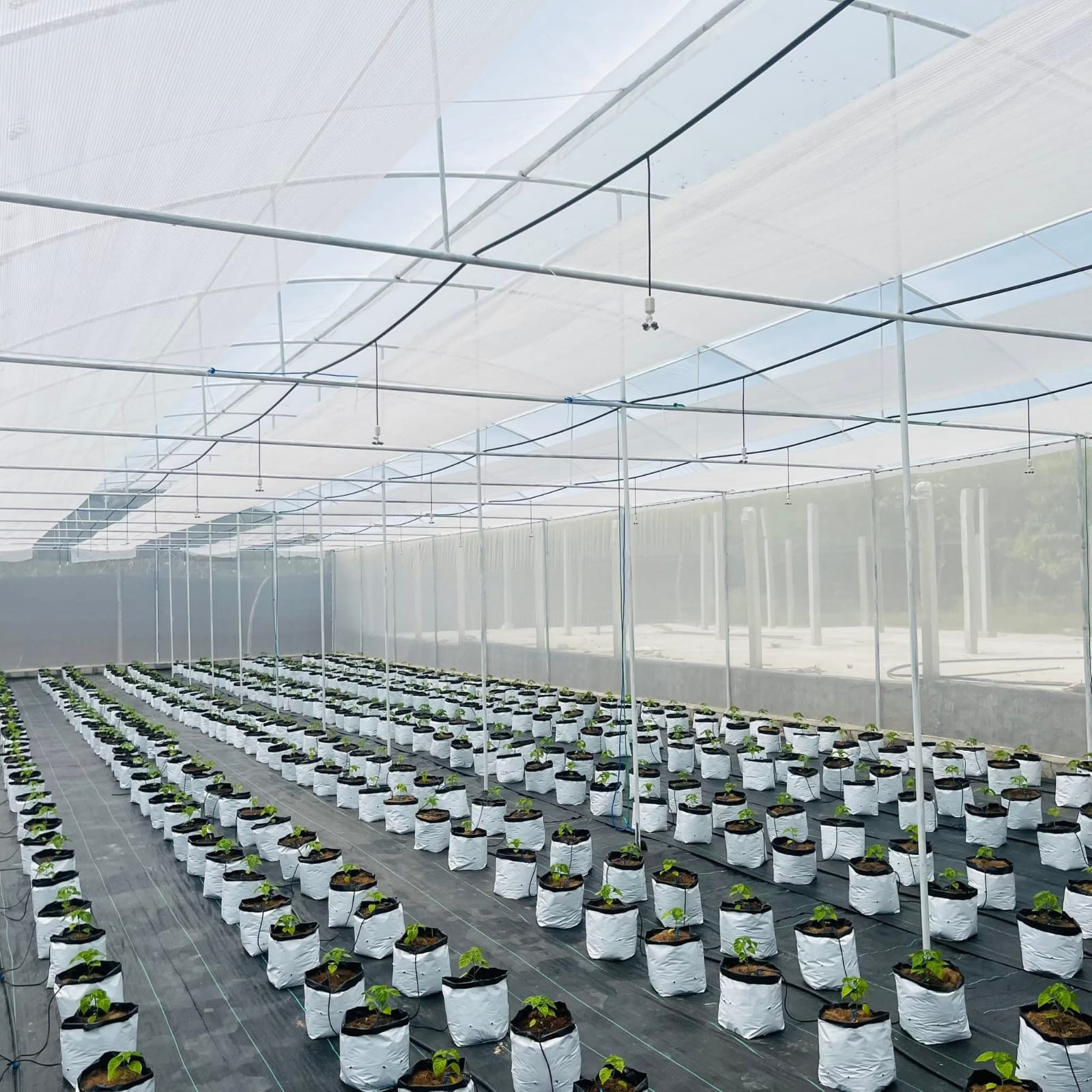 Green Fair Facility 1