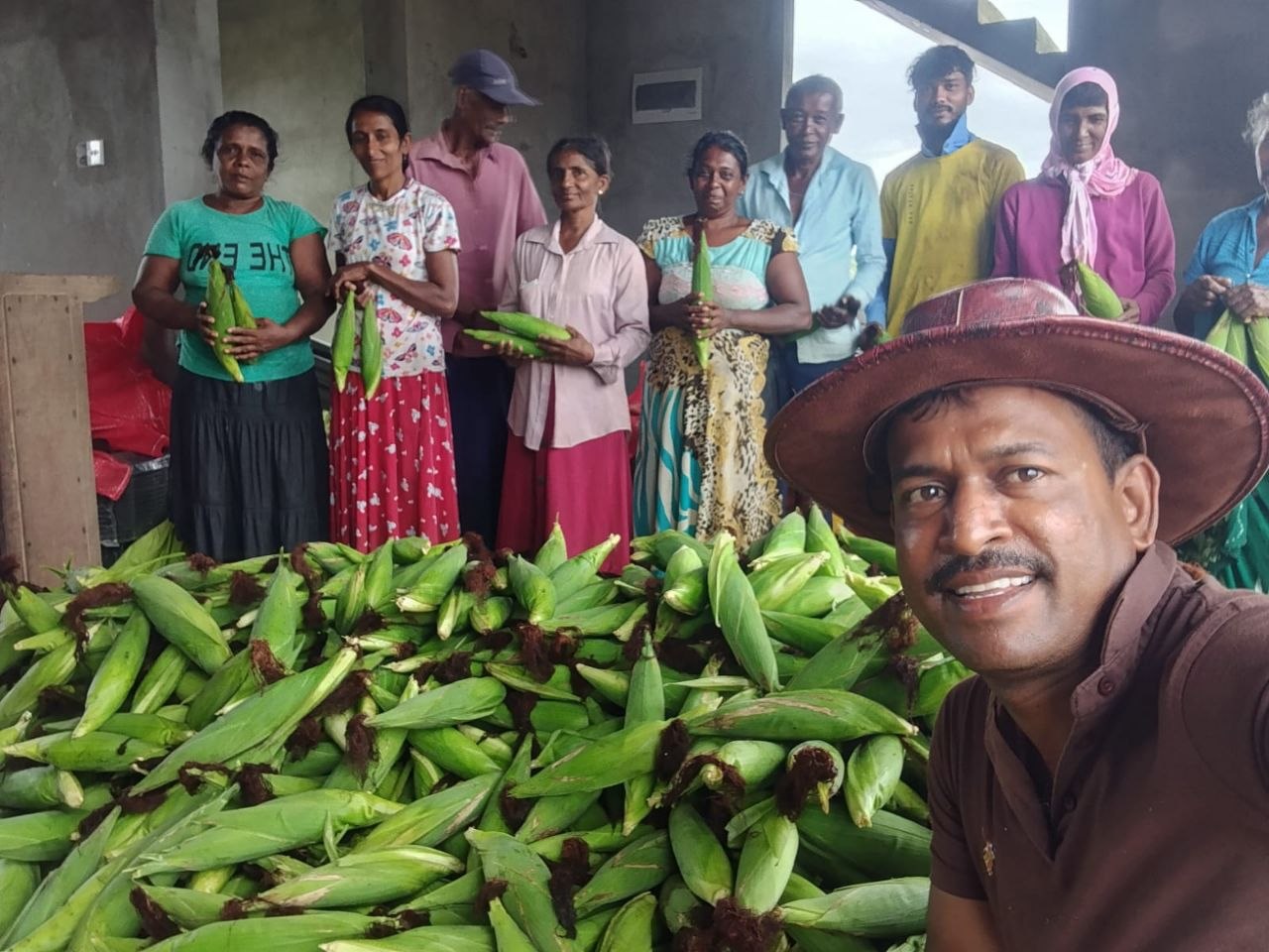 Harvest Team