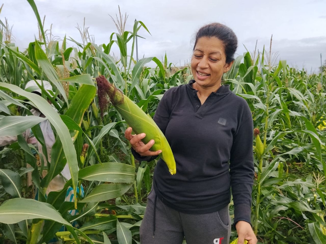 Sustainable Harvest